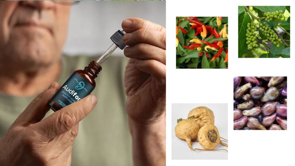 So, What Is the Actual Audifort Price?