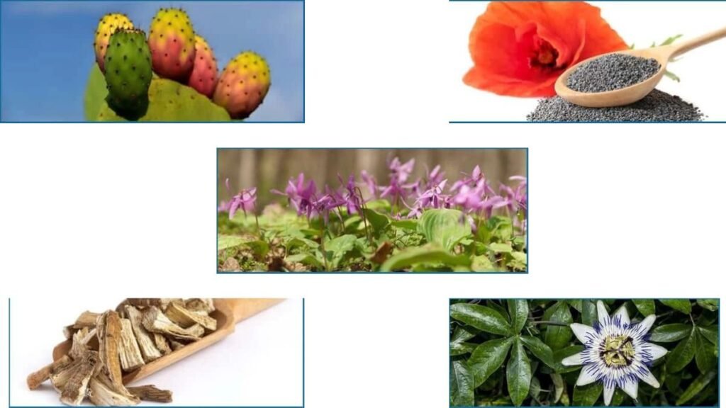 Who Nerve Fresh Might Be For