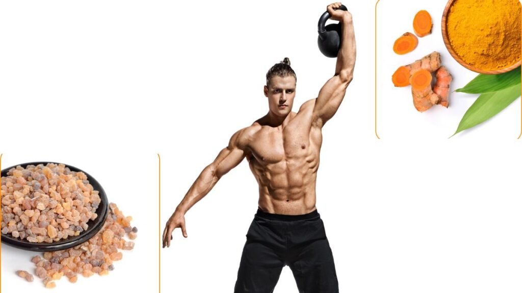 What Is Flexomore Review?