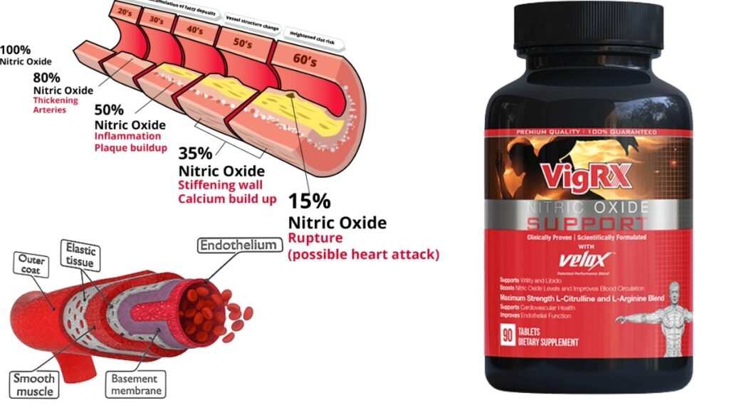What Is VigRX Nitric Oxide?