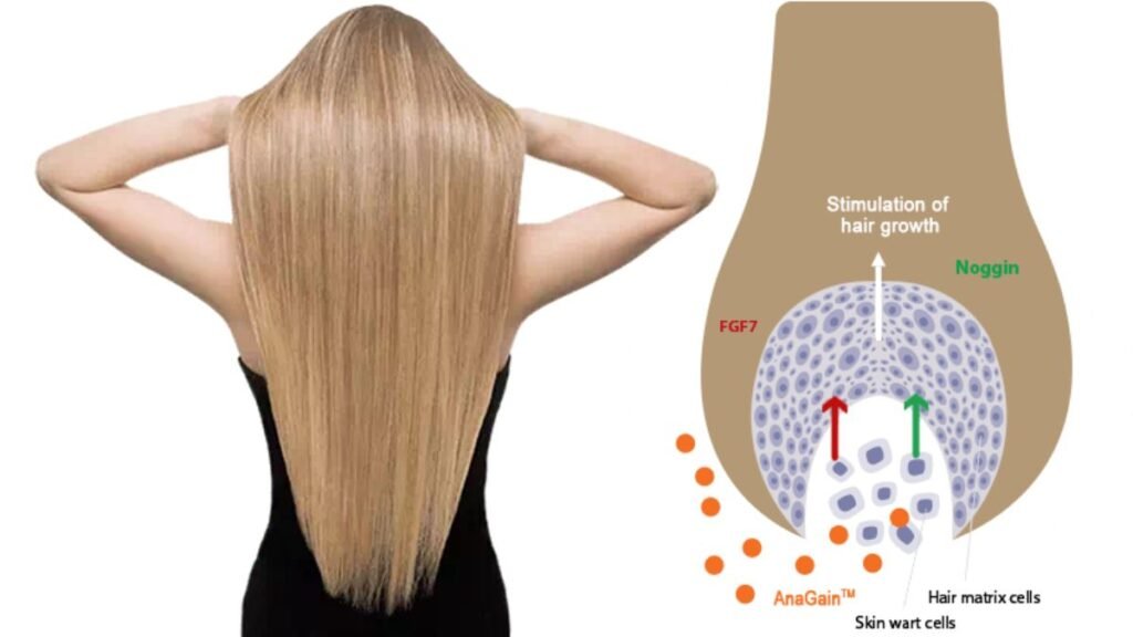 Is Locerin Reliable? My Honest Experience After 90 Days of Use 2 Is Locerin Reliable? My Direct Answer