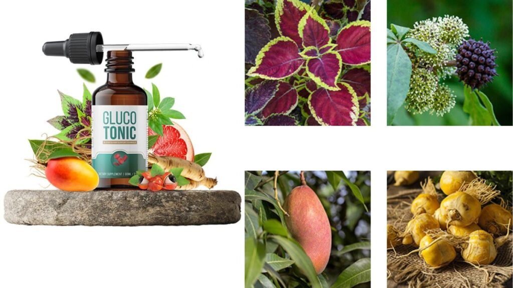 How Glucotonic Works (In Simple Terms)