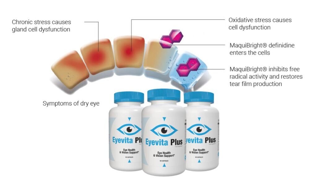 How Eyevita Plus Works (In Simple Terms)