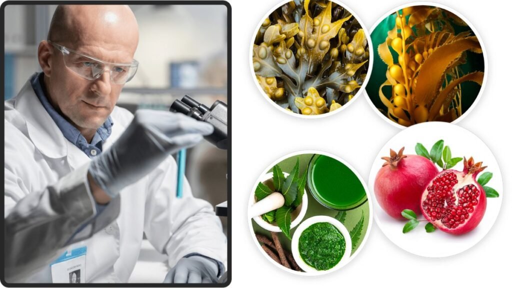 Does Prostadine Work? My Direct Answer