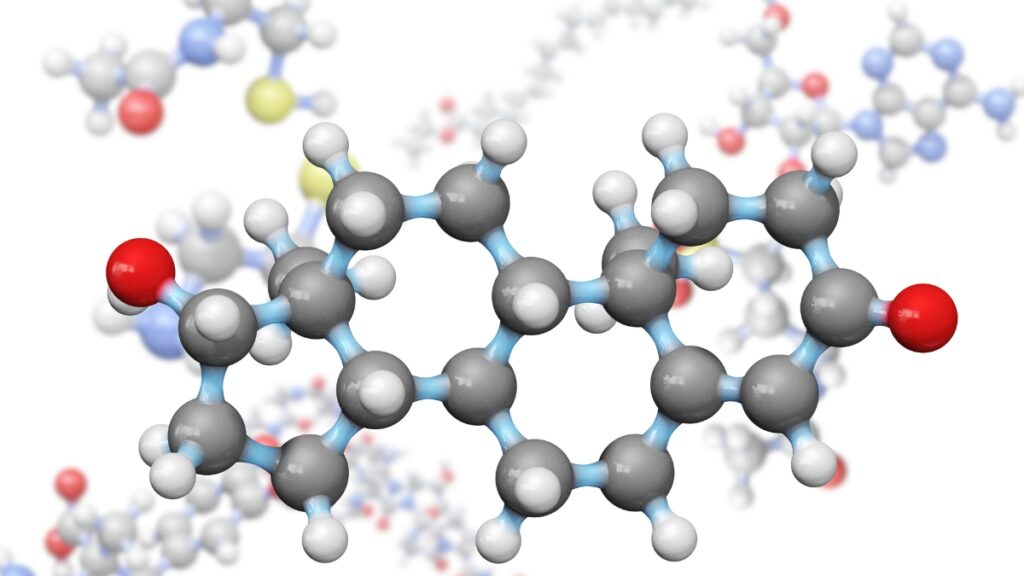 Sleep and Testosterone Levels