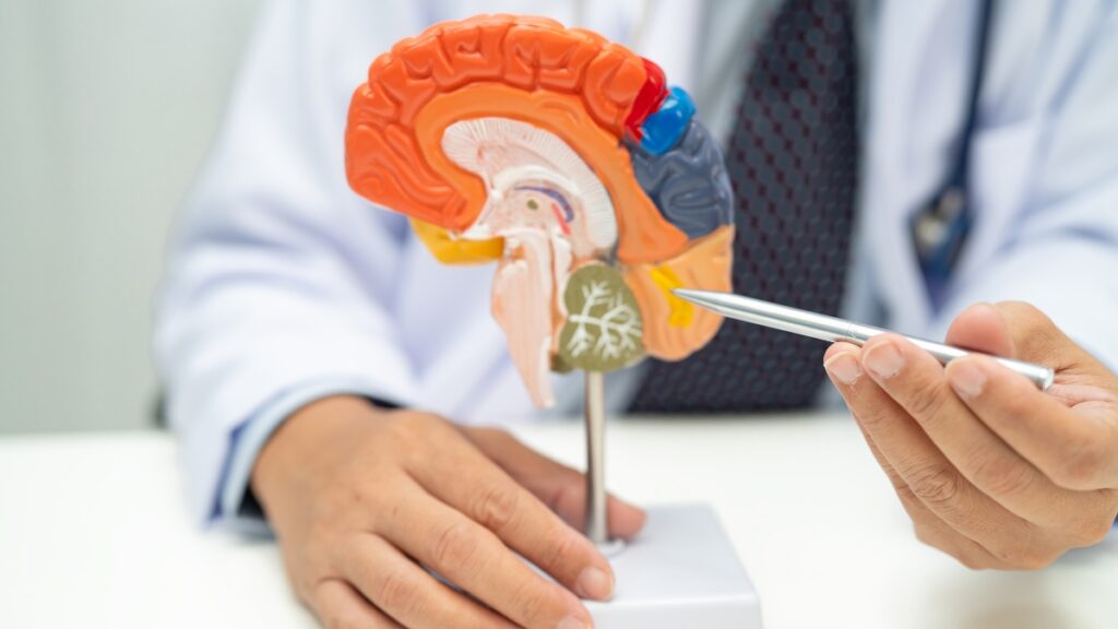 Best Nootropics for Focus and Productivity