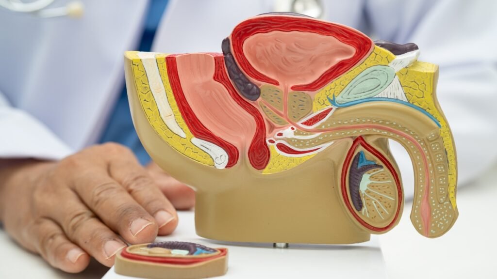 Foods That Support Prostate Health