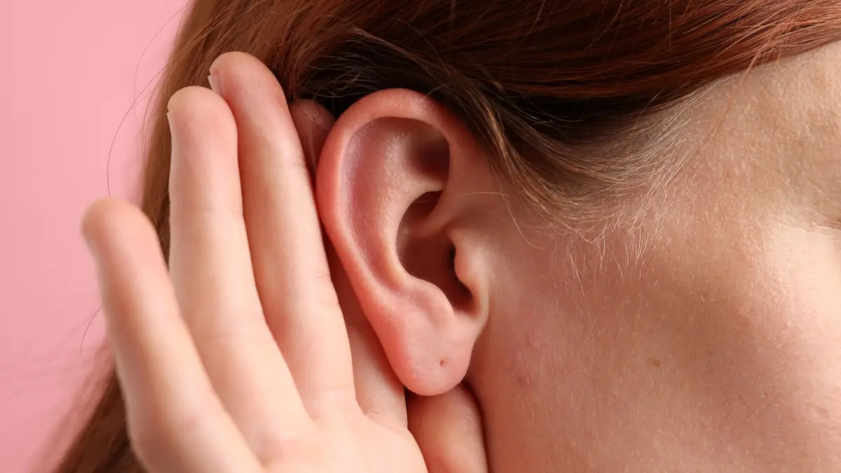 Best hearing support supplements explained with research-based ingredients and auditory wellness insights