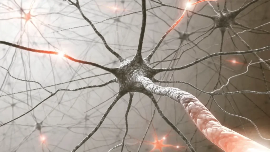 Natural ways to reduce nerve pain including exercise, sleep, nutrition, and nerve support supplements