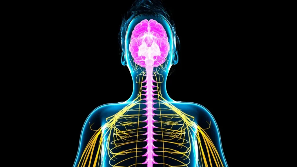 Nerve pain relief support guide covering neuropathy relief, anti-inflammatory nutrition, and healthy lifestyle habits